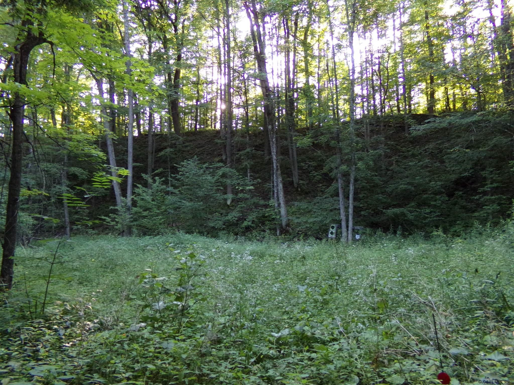 155 Line Road Wright, NY 12023 - Photo 27 of 32 Photo 28