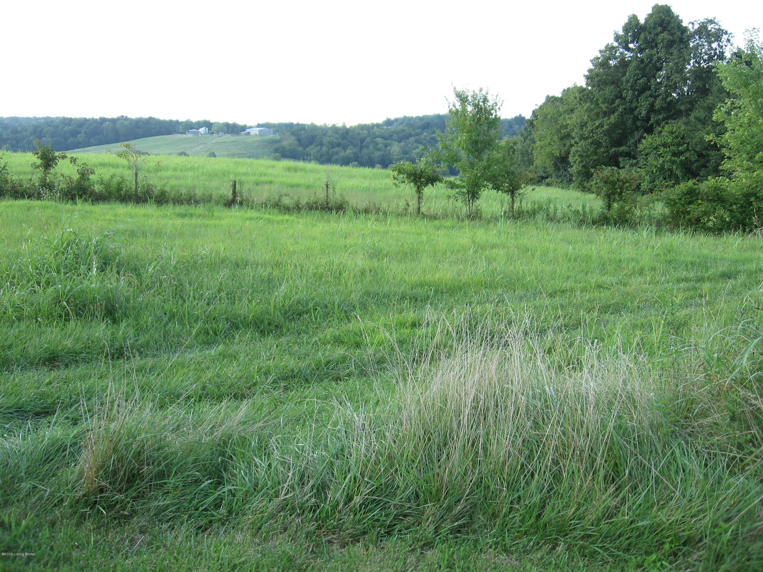 4954 Caney Creek Road Caneyville, KY 42721 - Photo 22 of 34 IMG_2014