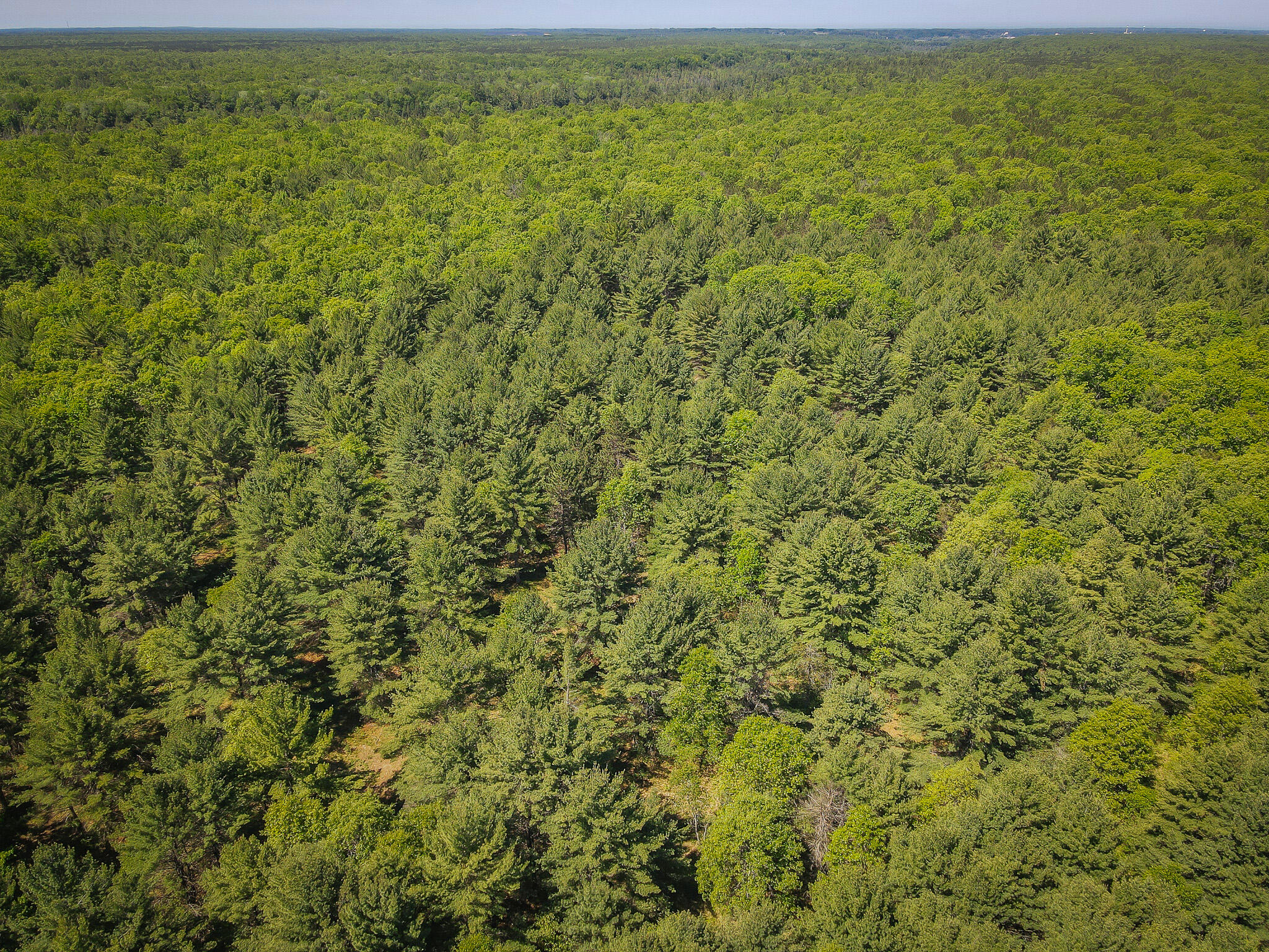 4993 Little River Road Manistee, MI 49660 - Photo 49 of 62 DJI_0319