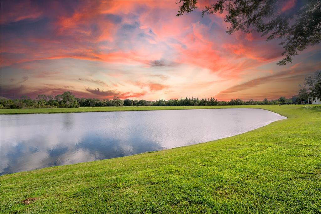 13224 Swansea Avenue Windermere, FL 34786 - Photo 45 of 58 Gallery Image 45