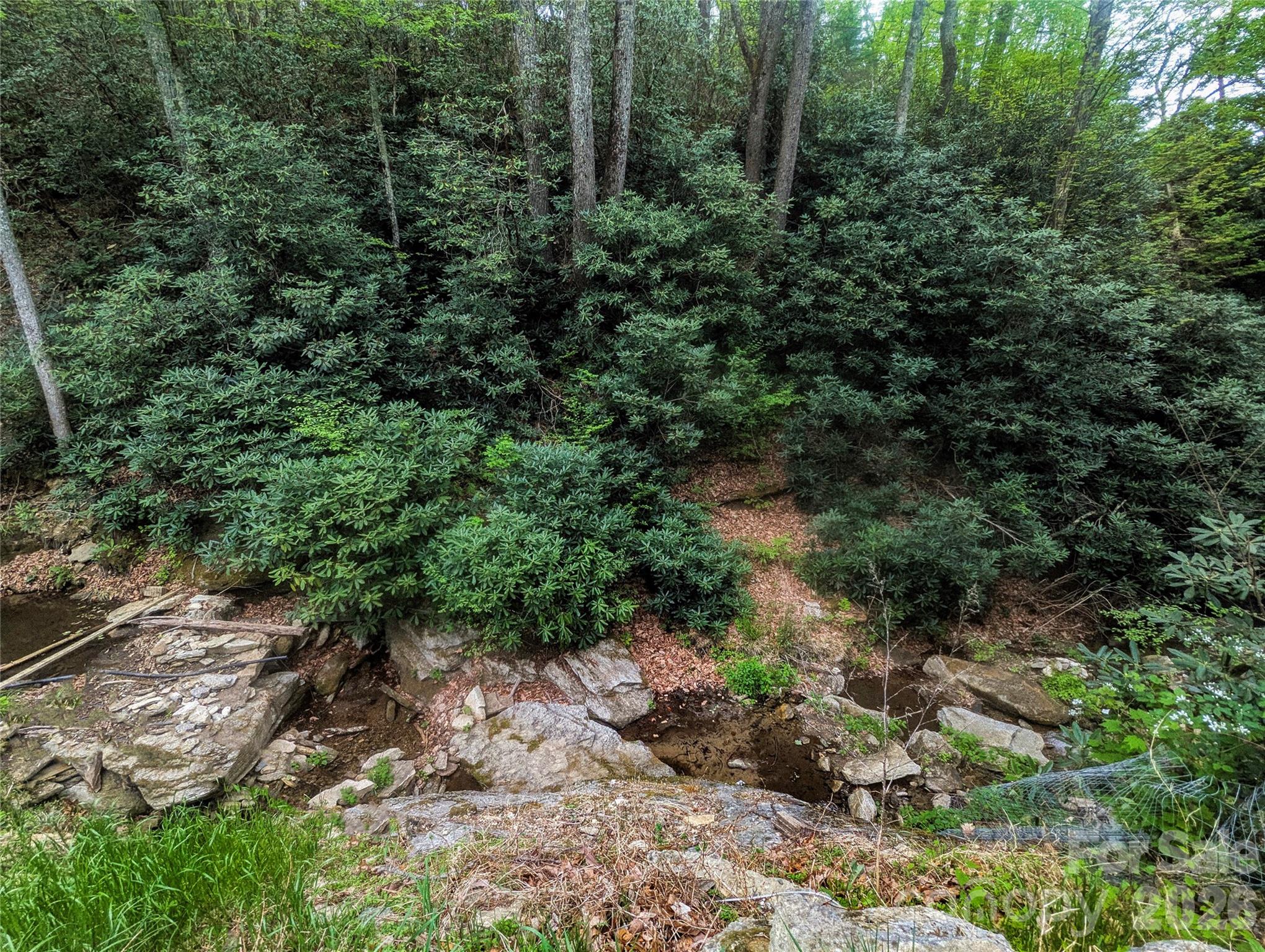 1034 Kyles Creek Road Hendersonville, NC 28792 - Photo 6 of 23