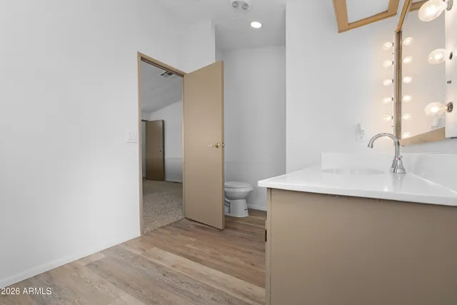 a bathroom with a sink and a toilet
