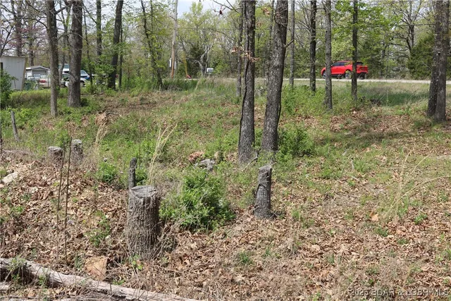 $49,500 | 16604 Hwy O, Gravois Mills, MO 65037