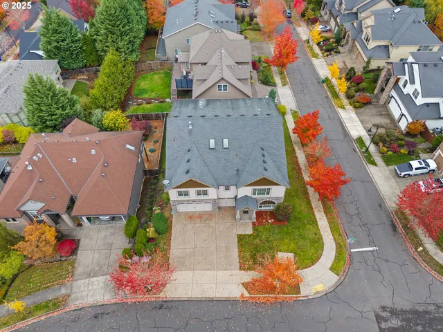 a park view with large trees