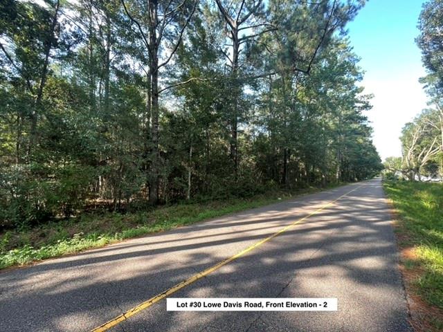 Lot #30 Lowe Davis Road Covington, LA 70435 - Photo 4 of 4 Gallery Image 4
