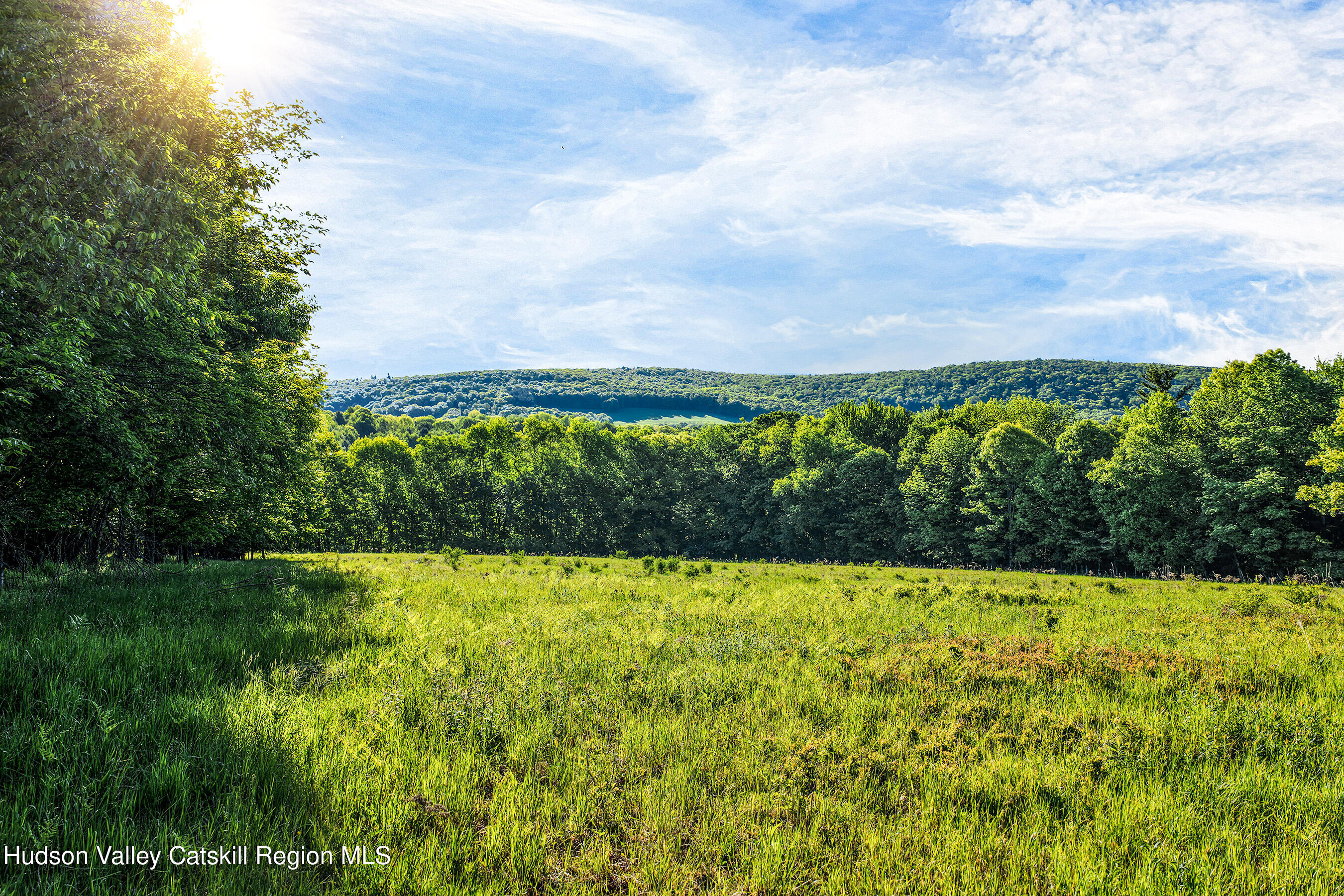 0 Frank Slawson Road Oneonta, NY 13820 - Photo 15 of 29 DJI_20260603072903_0534_D-Edit-Edit