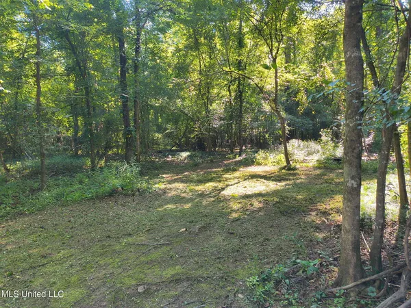 $8,500 | 0 Carter Lake Drive, Lucedale, MS 39452