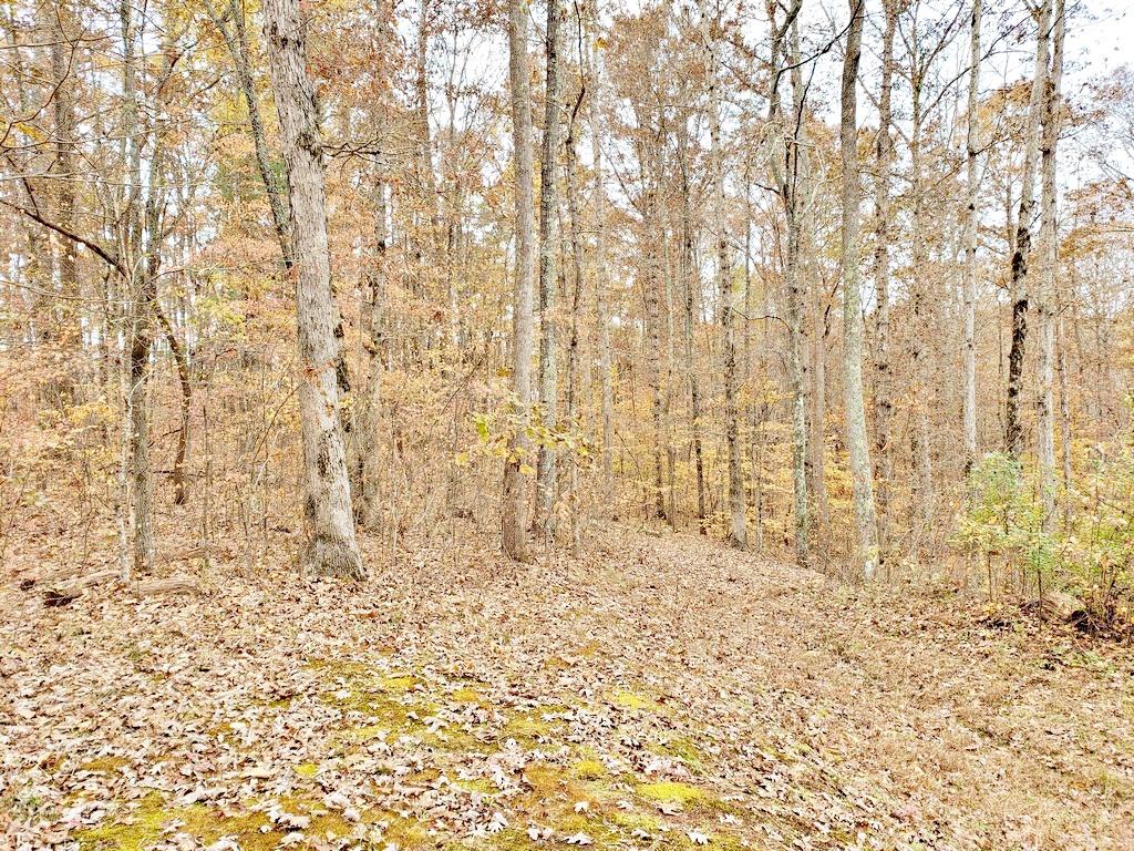 286 Suddath Road Ten Mile, TN 37880 - Photo 29 of 36 20191119_134017