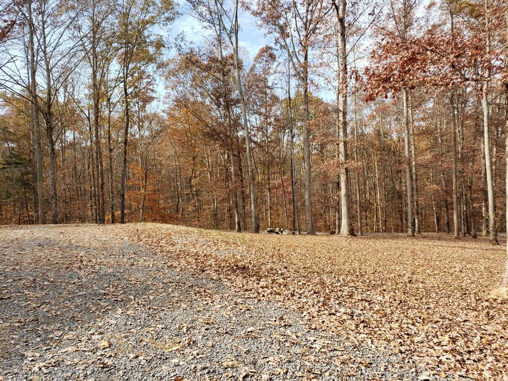 286 Suddath Road Ten Mile, TN 37880 - Photo 32 of 36 20191119_134117