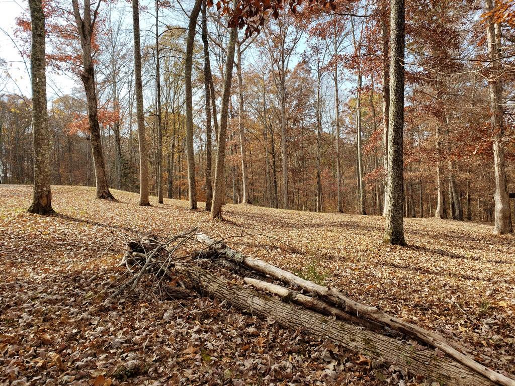 286 Suddath Road Ten Mile, TN 37880 - Photo 36 of 36 20191119_134234