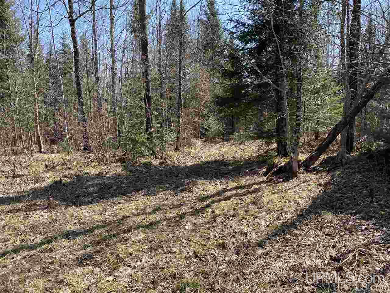 Off Nelson Road Glidden, WI 54527 - Photo 18 of 23