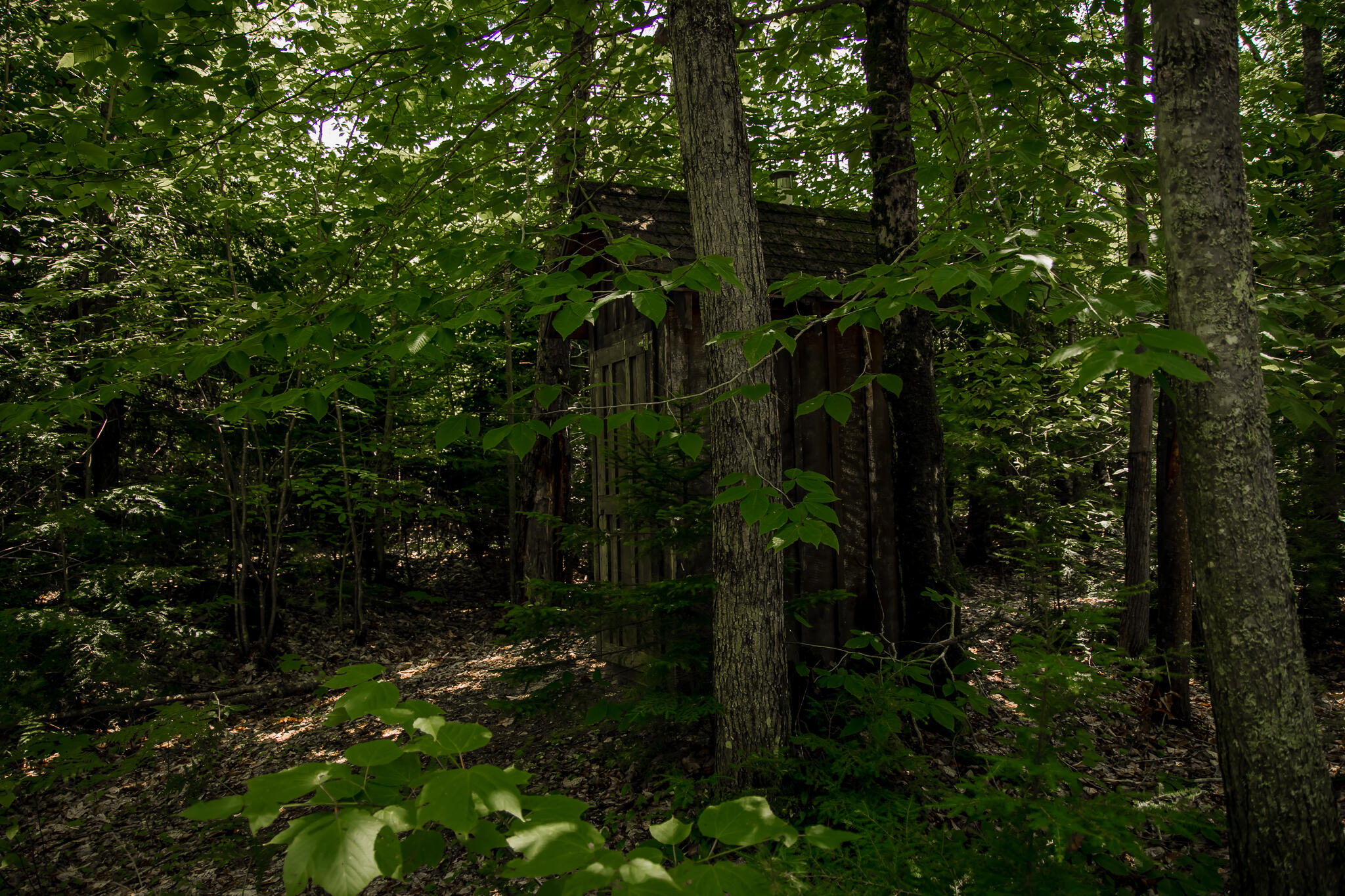 208 Rover Road Dixfield, ME 04224 - Photo 7 of 10 AF6A3461