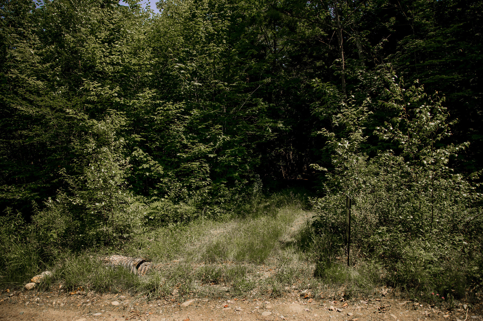 208 Rover Road Dixfield, ME 04224 - Photo 8 of 10 AF6A3469