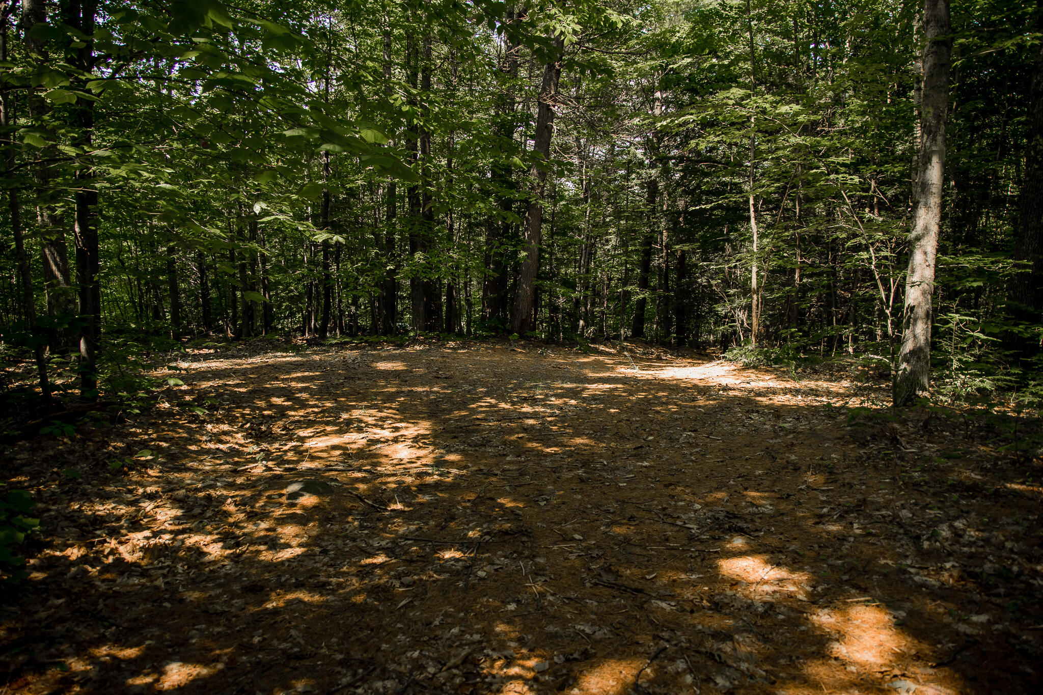 208 Rover Road Dixfield, ME 04224 - Photo 9 of 10 AF6A3464