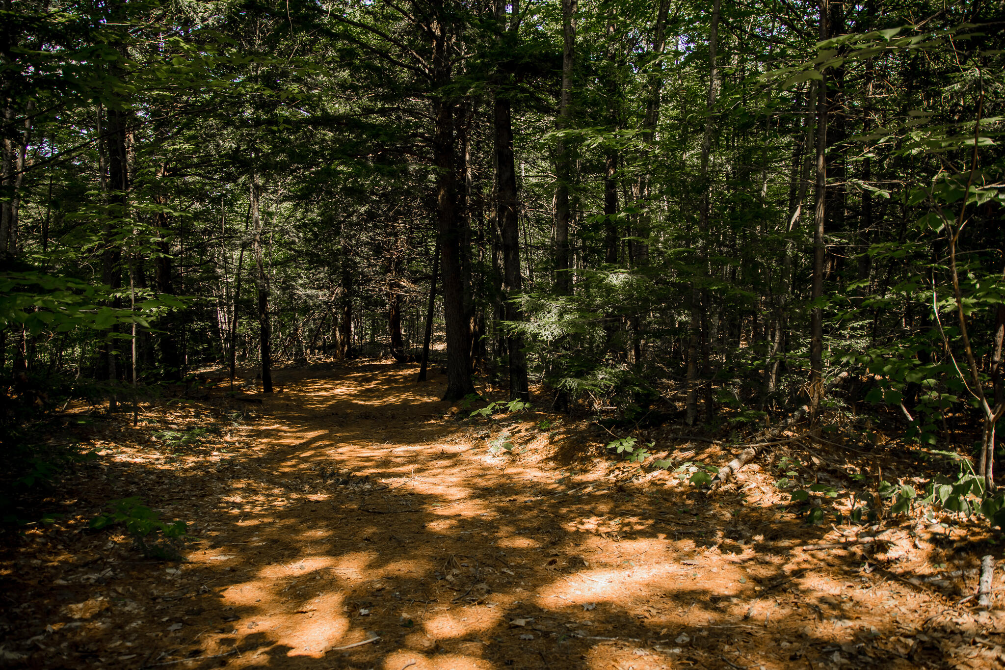 208 Rover Road Dixfield, ME 04224 - Photo 10 of 10 AF6A3466