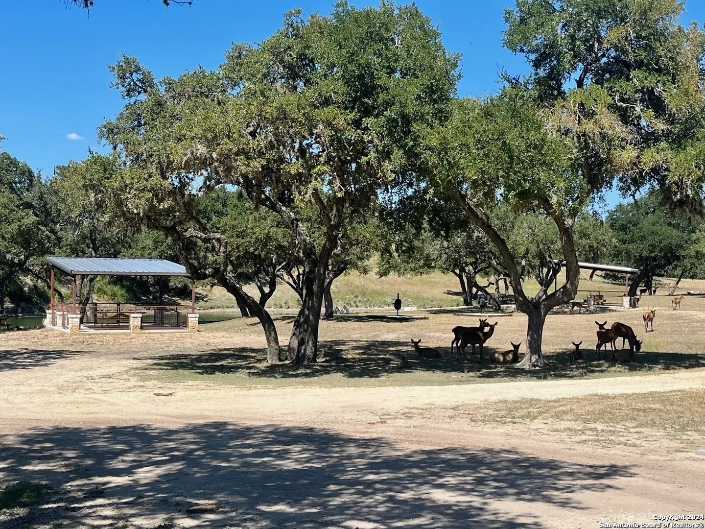 Lot 4 Elk Mountain Ranch Pipe Creek, TX 78063 - Photo 3 of 13