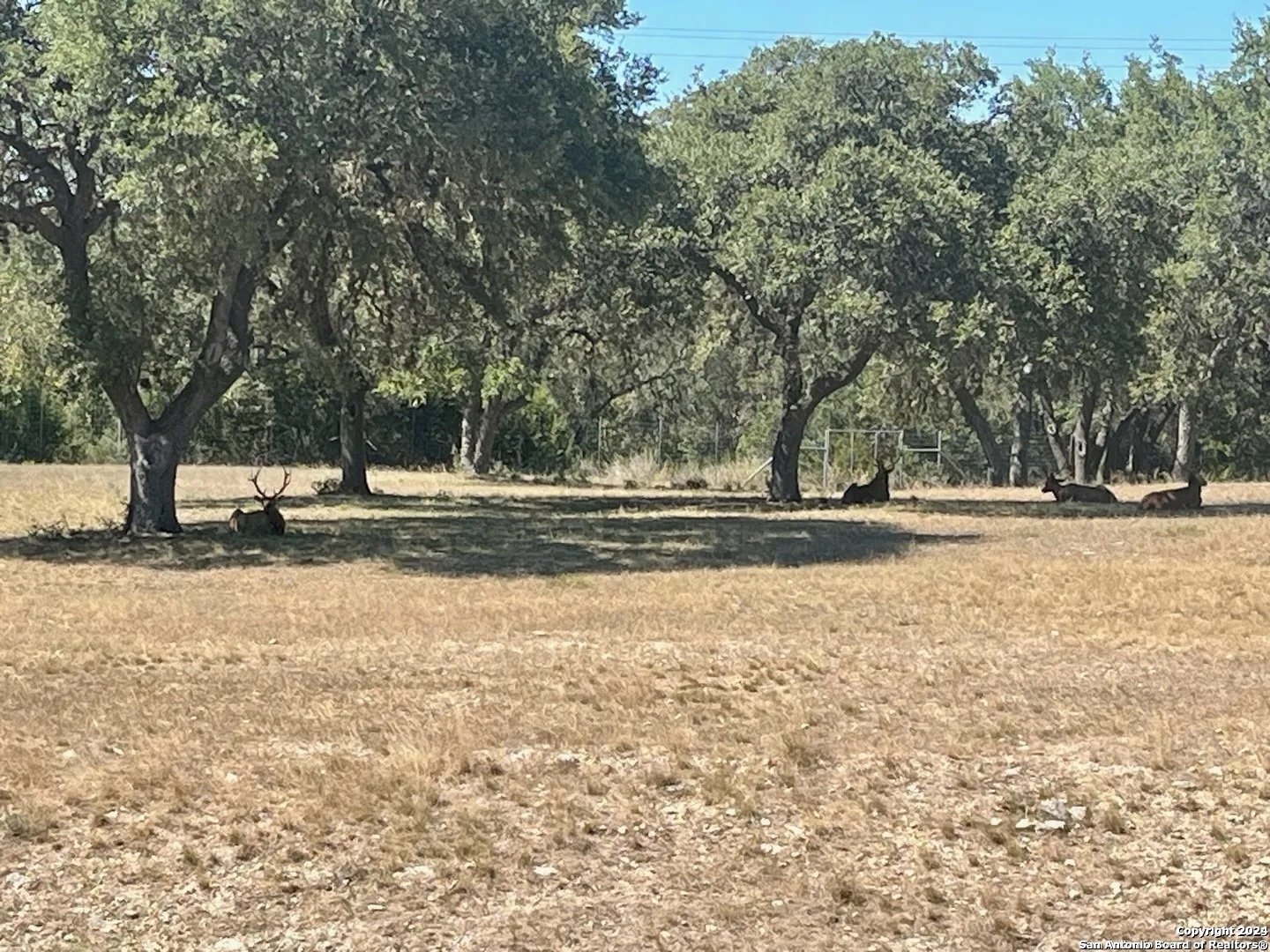 Lot 4 Elk Mountain Ranch Pipe Creek, TX 78063 - Photo 7 of 13