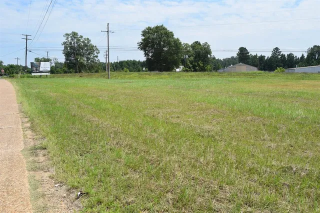 a yard with lots of green space and trees in the background