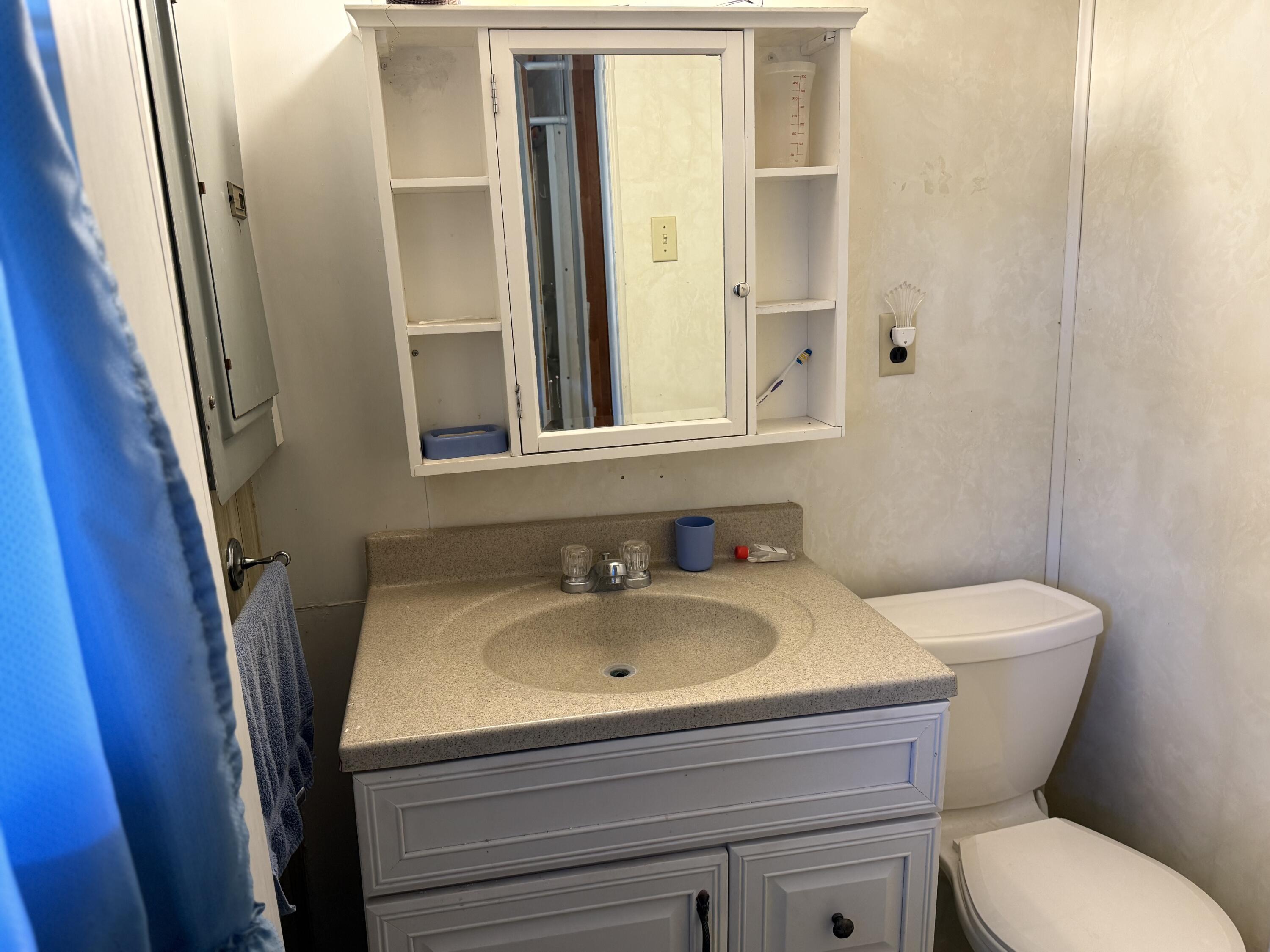 1028 Roswell Lane Blue Ridge, VA 24064 - Photo 14 of 21 a bathroom with a sink and a mirror