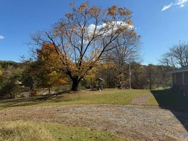 a view of yard with tree