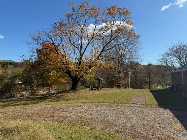 1028 Roswell Lane Blue Ridge, VA 24064 - Photo 19 of 21 a view of yard with tree