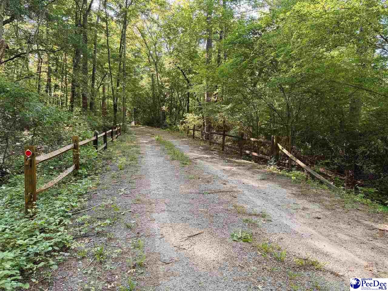 60-acres West Freight Road Florence, SC 29501 - Photo 19 of 27 Gallery Image 19