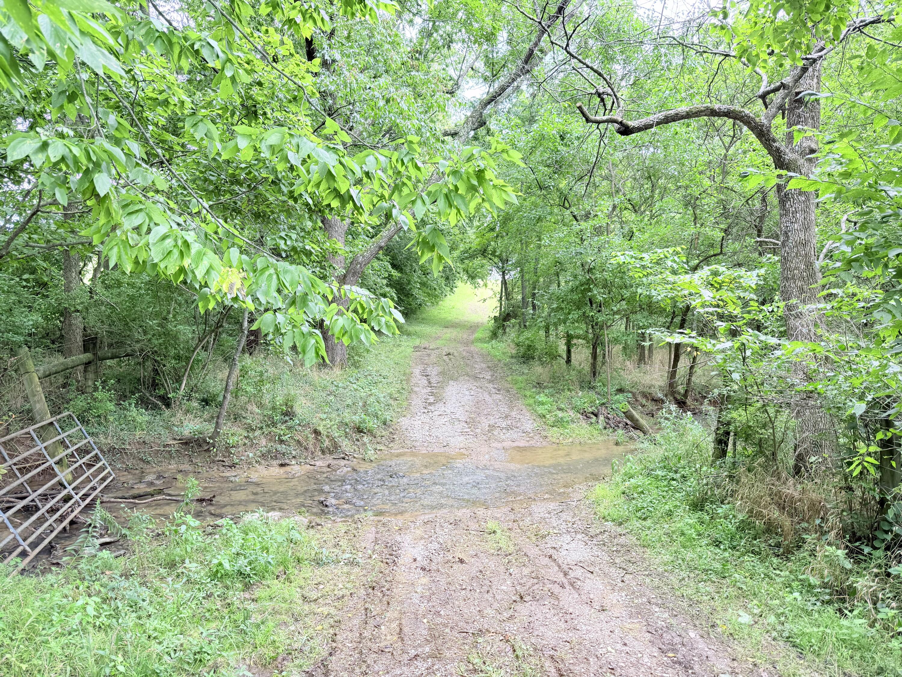 546 B Cane Ridge Road Paris, KY 40361 - Photo 10 of 14 IMG_7992