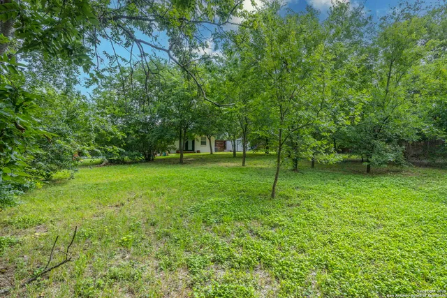 a backyard of a house with plants and large tree