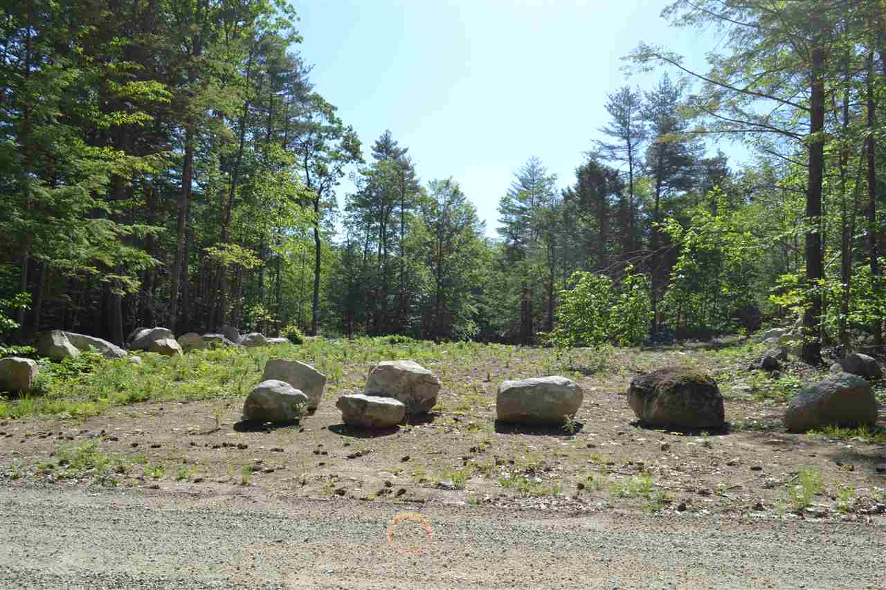 0 Little Chatham And Beach Road Center Conway, NH 03813 - Photo 6 of 8 Gallery Image 6