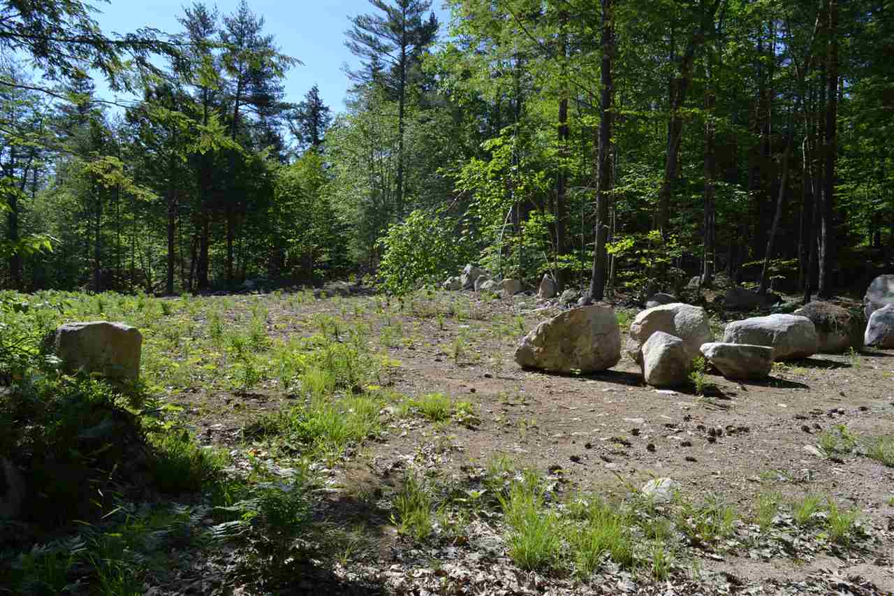 0 Little Chatham And Beach Road Center Conway, NH 03813 - Photo 7 of 8 Gallery Image 7