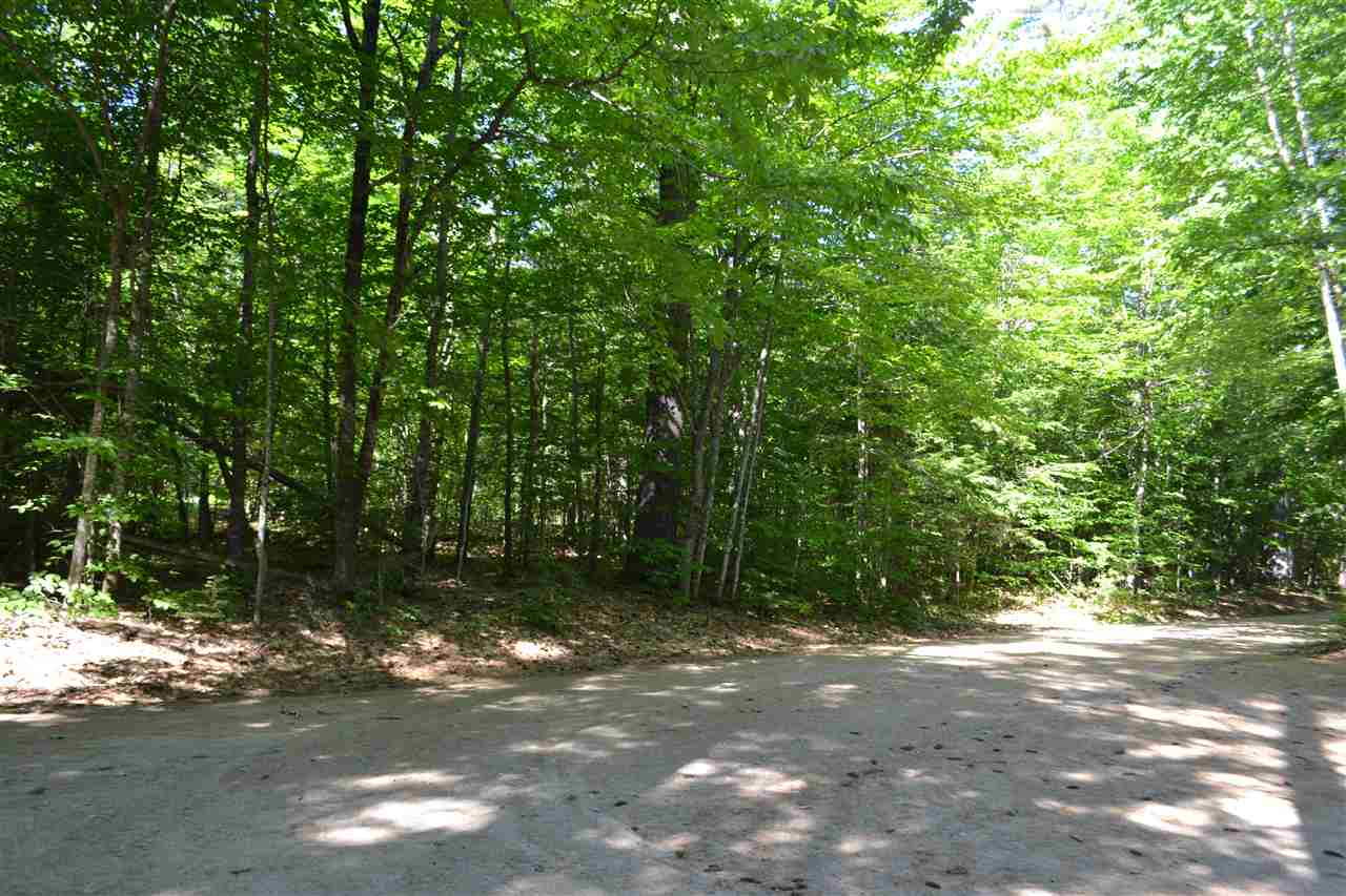0 Little Chatham And Beach Road Center Conway, NH 03813 - Photo 8 of 8 Gallery Image 8