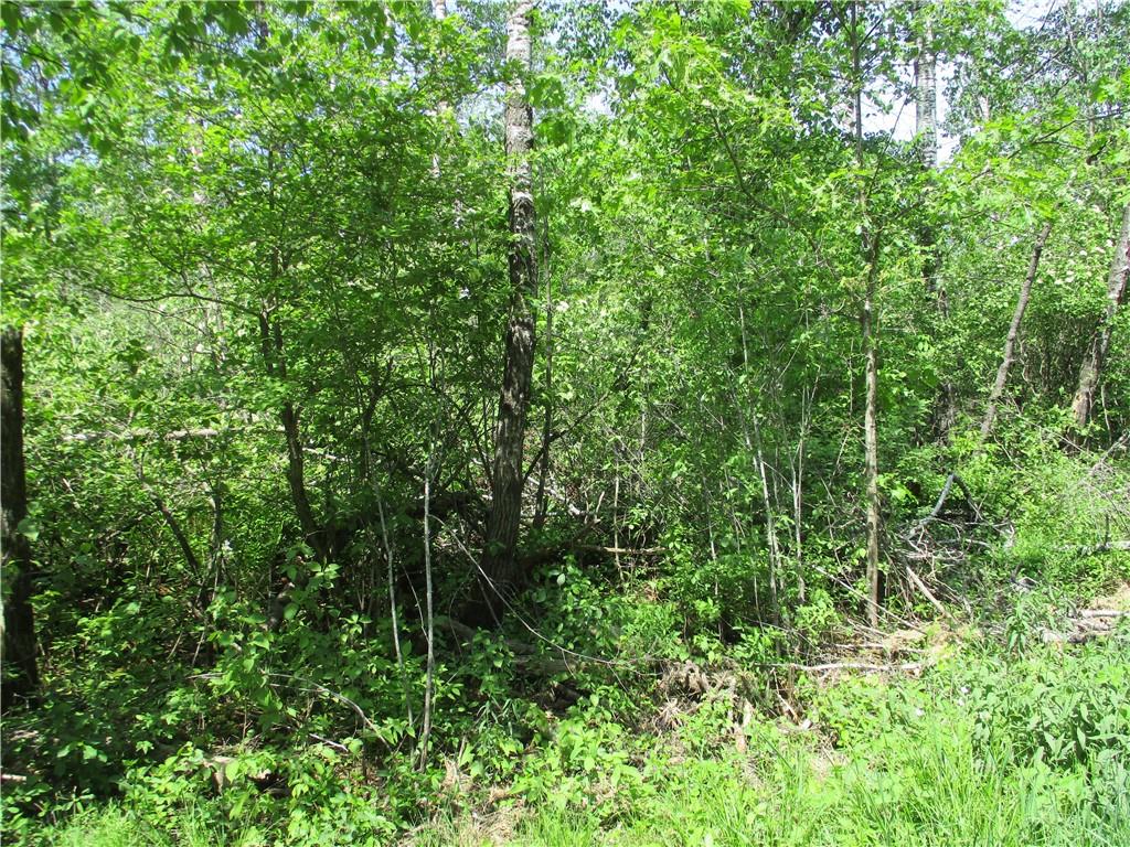 19 Eden Avenue Rice Lake, WI 54868 - Photo 1 of 1 Gallery Image 1