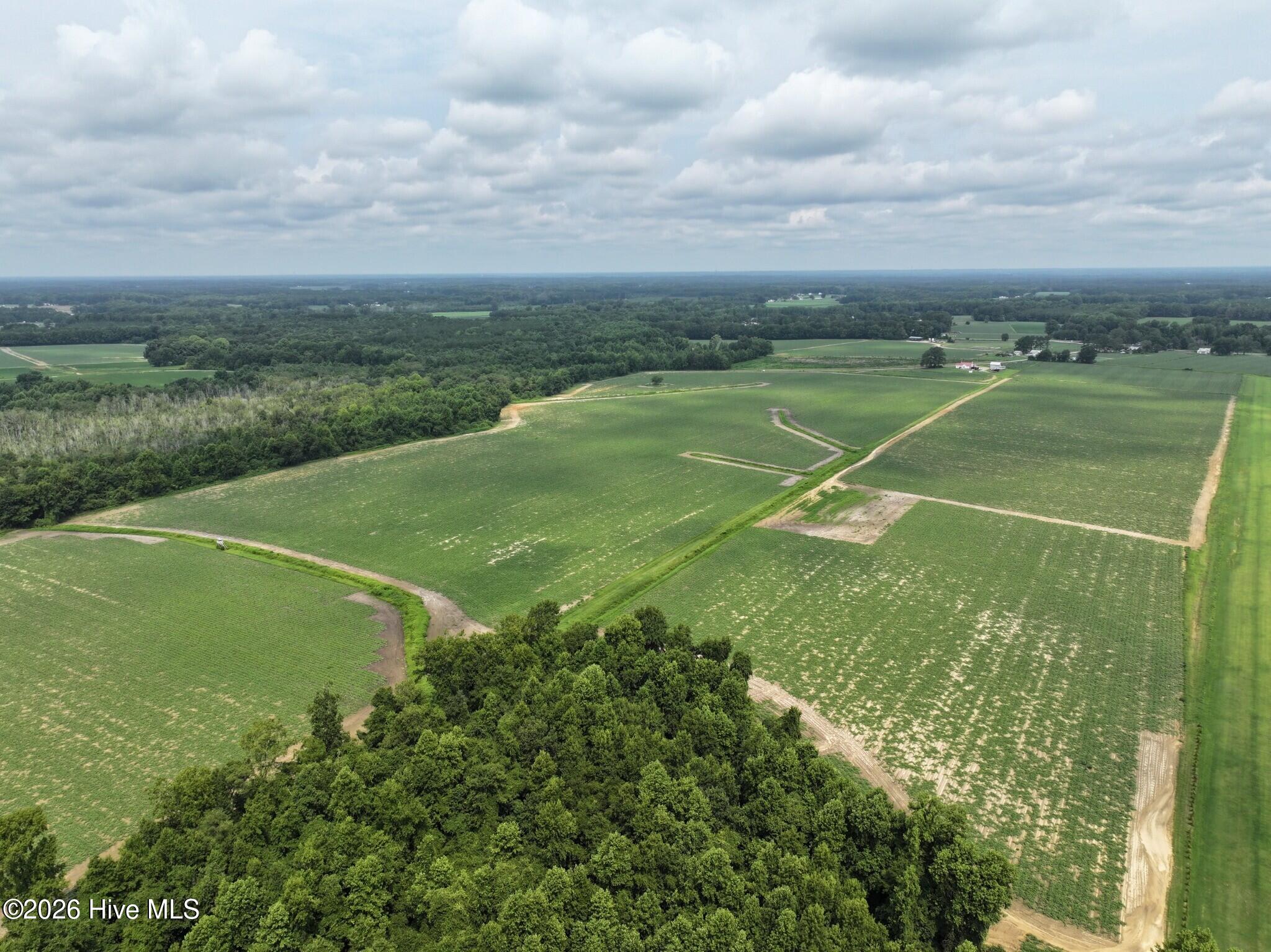 0 Huckleberry Road Lucama, NC 27851 - Photo 10 of 18 Gallery Image 10