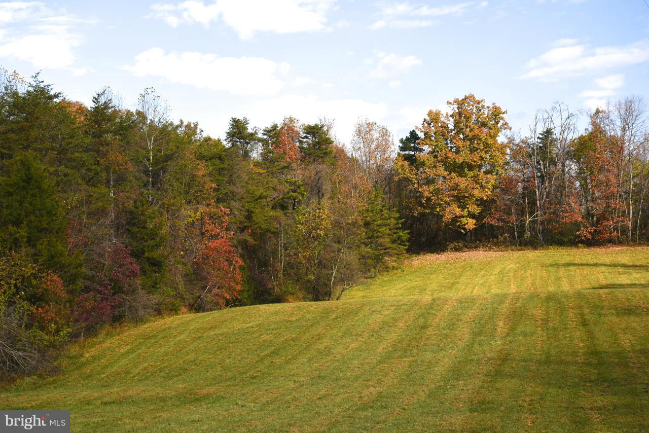 18.786 Acres Road Boston, VA 22713 - Photo 3 of 14 Tree-Lined Fields