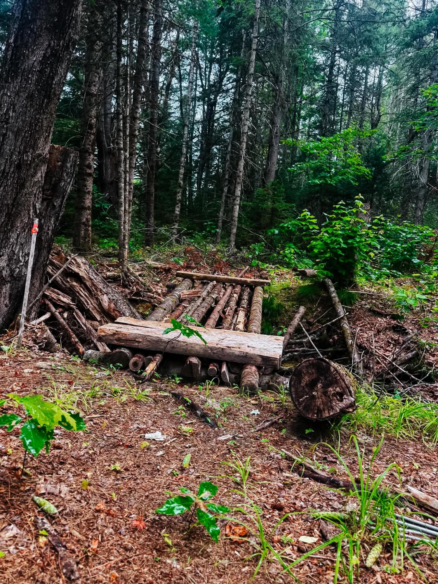 2539 Edinburg Road Old Town, ME 04468 - Photo 6 of 9 att.U-OHIeId3Dsx0J_p95qq4cietGb6w7hIVeo-