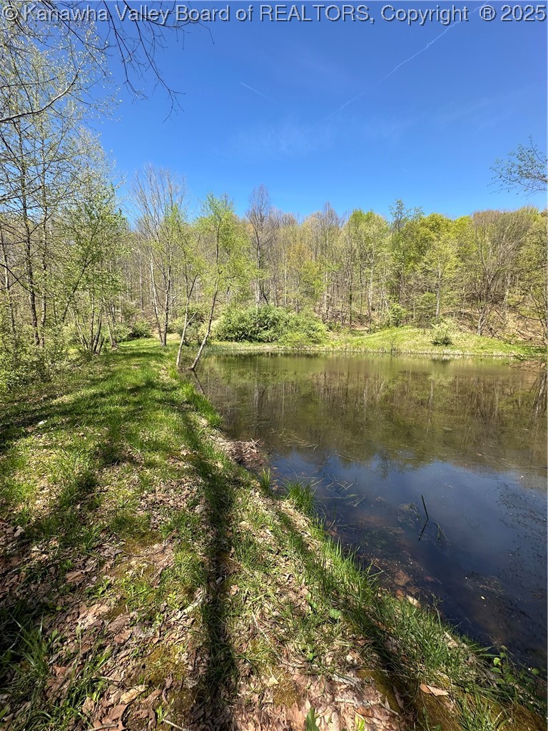 Lot #3 Sugartree Road Griffithsville, WV 25521 - Photo 7 of 10 Gallery Image 7