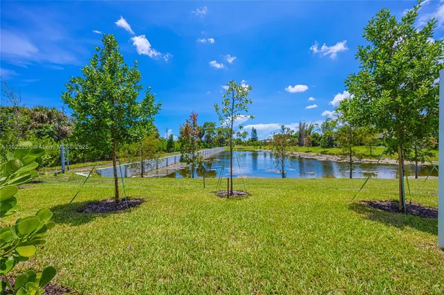 a small garden with lots of swings and slides