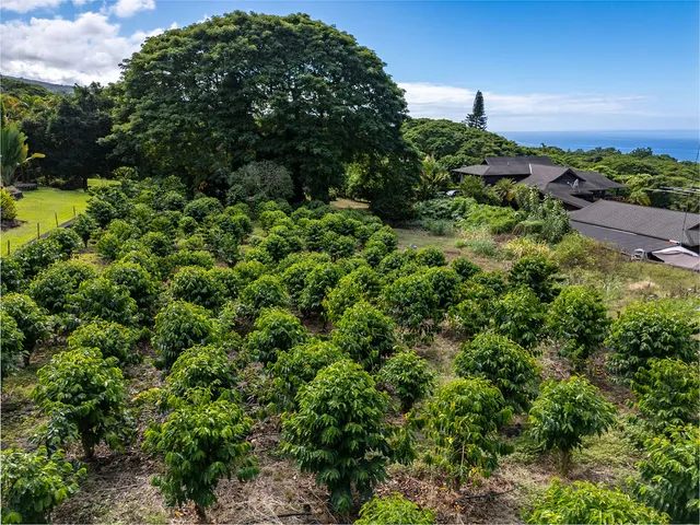 $1,689,000 | 75-795 Hiona Street, Kailua-Kona, HI 96740