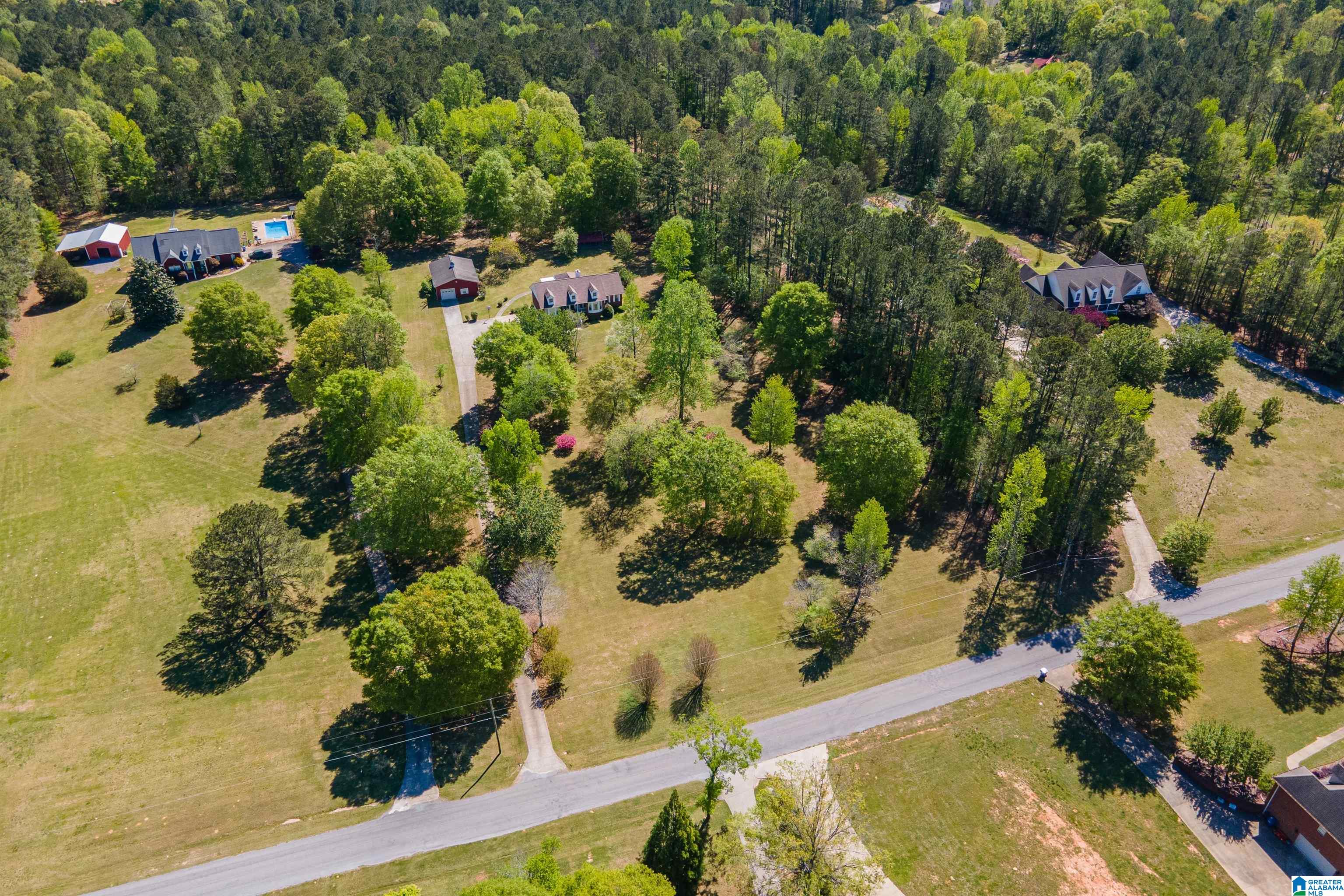 205 Beaver Ridge Circle Ashville, AL 35953 - Photo 57 of 61