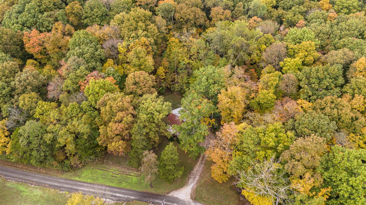 425 Briggs Lake Road Russellville, KY 42276 - Photo 8 of 60 Gallery Image 8