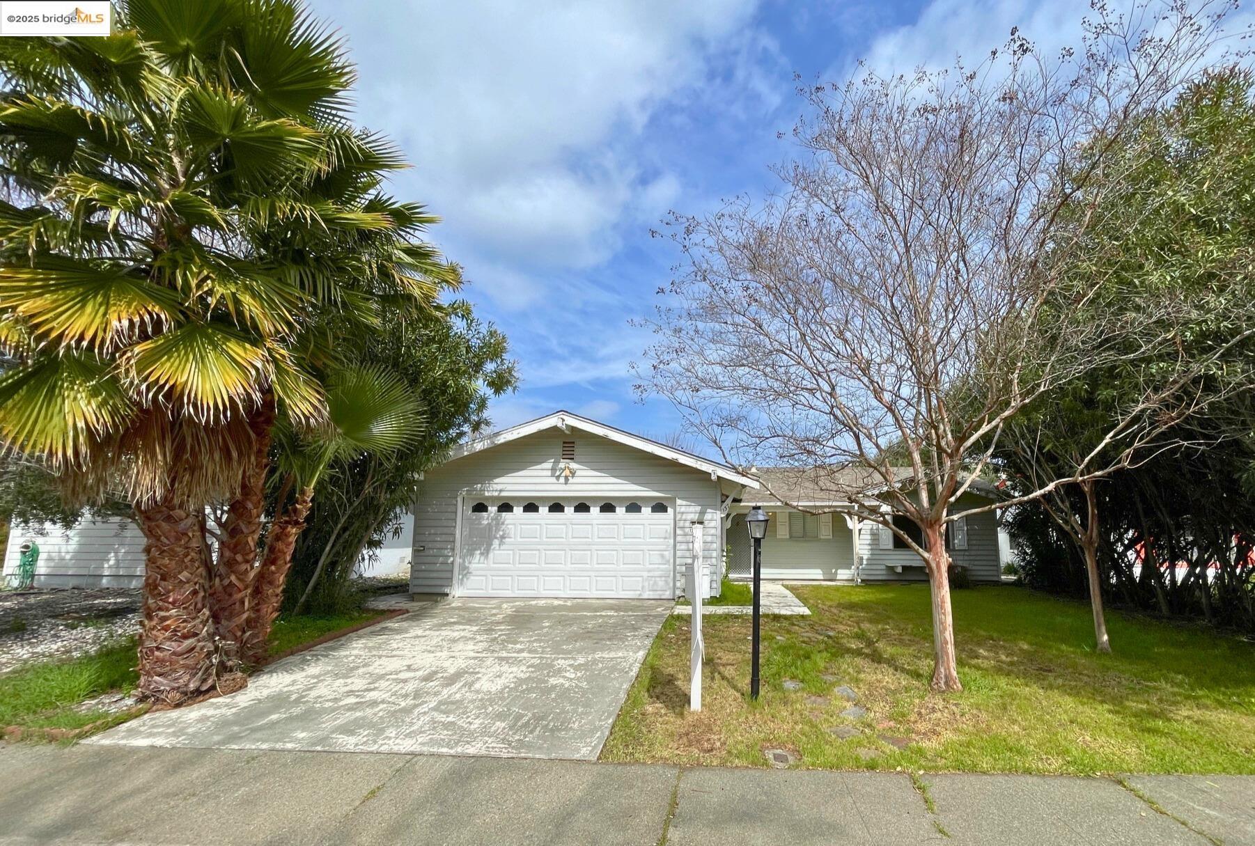 a view of a park with tree s