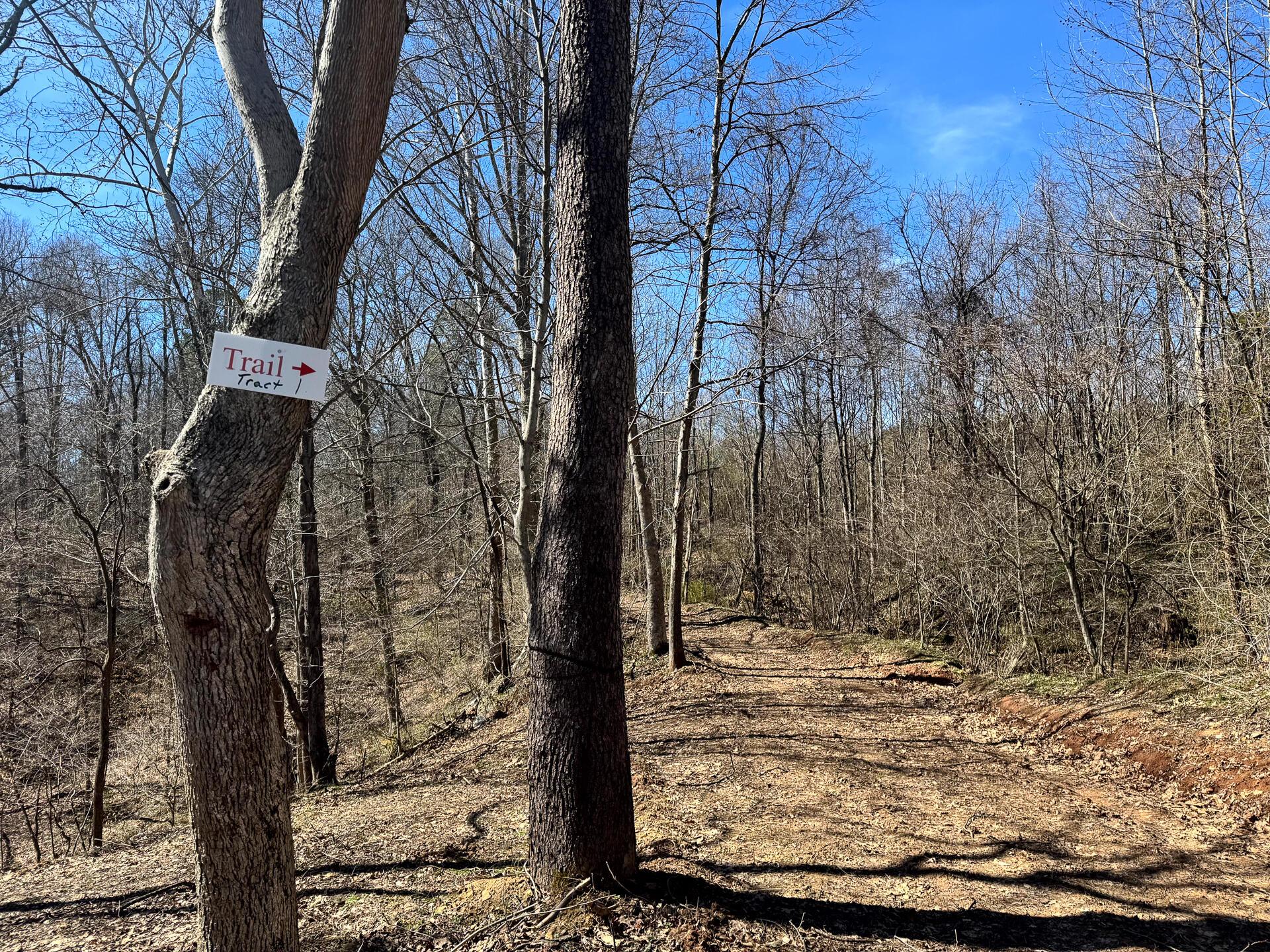 0 Remely Road, Unit MILLSTONE CAVES TRACT 1) Cutler, OH 45724 - Photo 30 of 41 CT-31