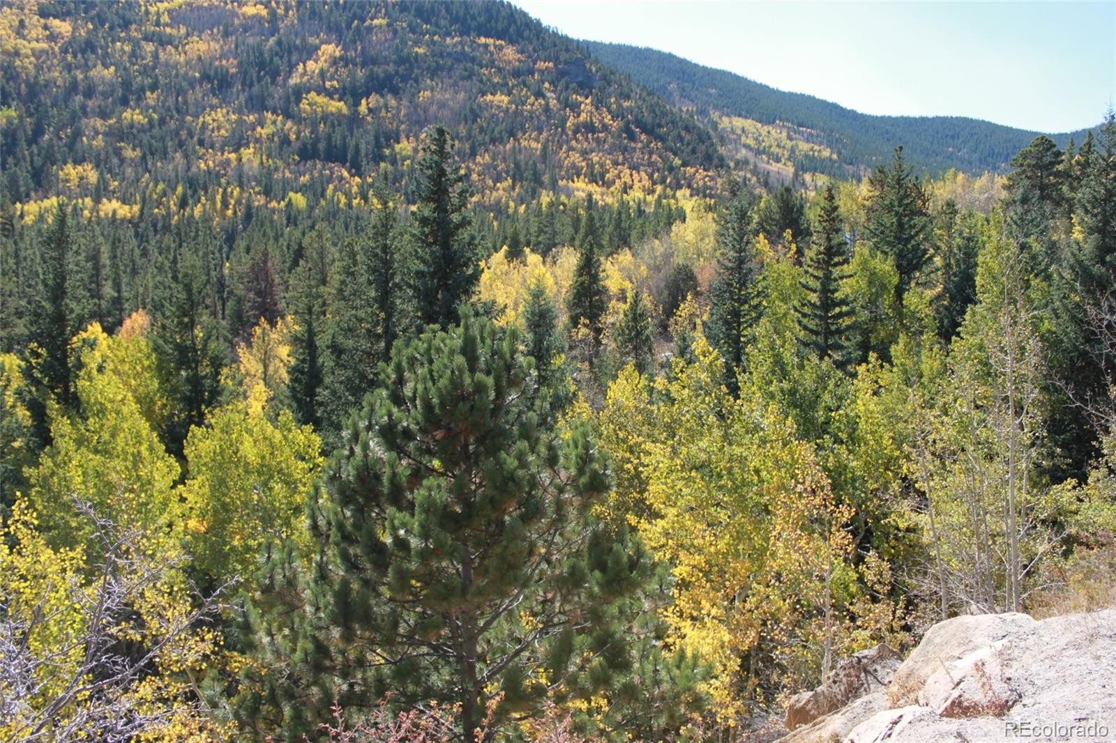 9366 Fall River Road, Unit 307 Idaho Springs, CO 80452 - Photo 3 of 13 Gallery Image 3