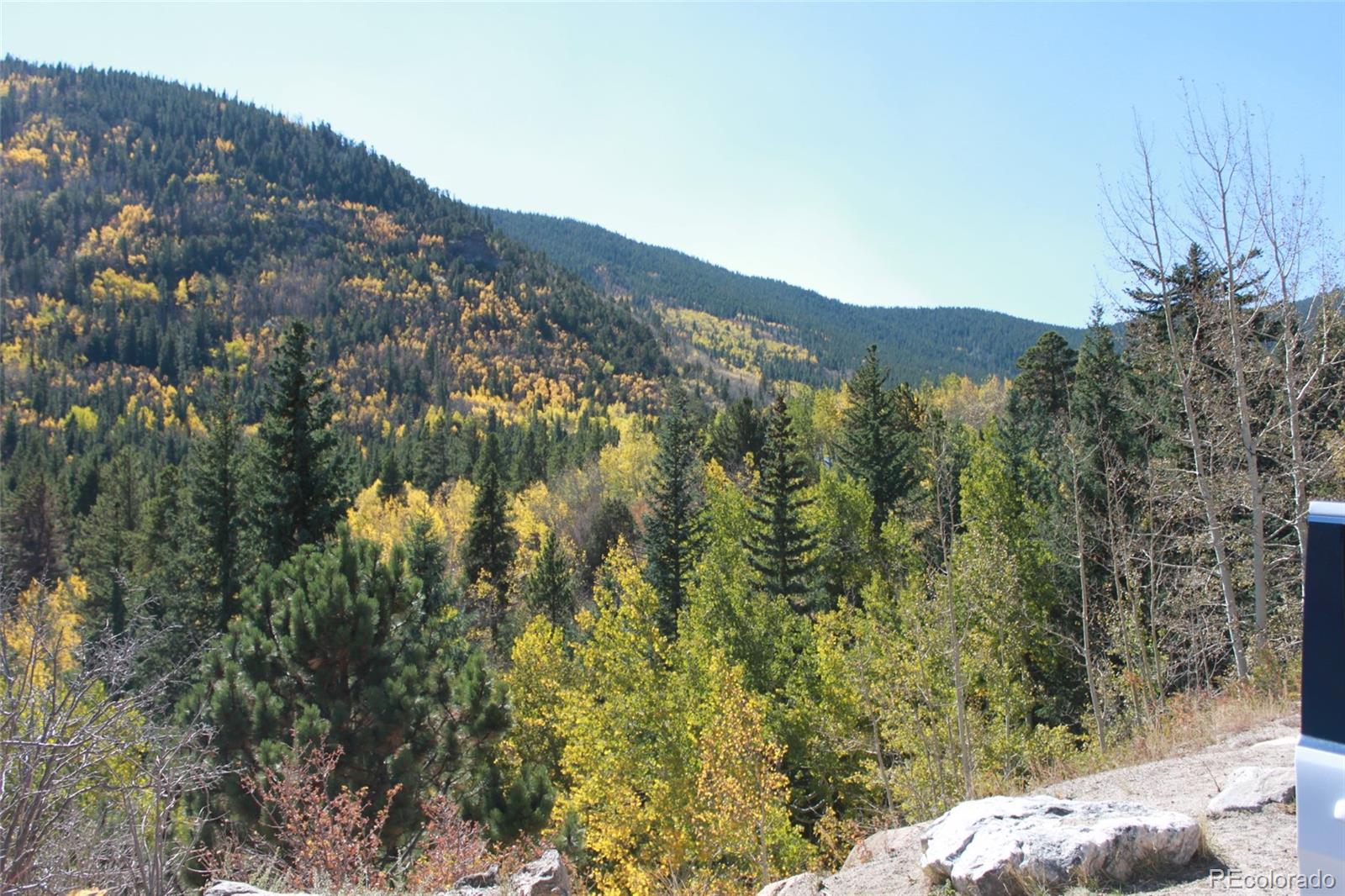 9366 Fall River Road, Unit 307 Idaho Springs, CO 80452 - Photo 4 of 13 Gallery Image 4