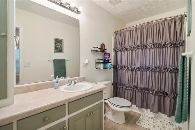 a bathroom with a sink a toilet and shower curtain