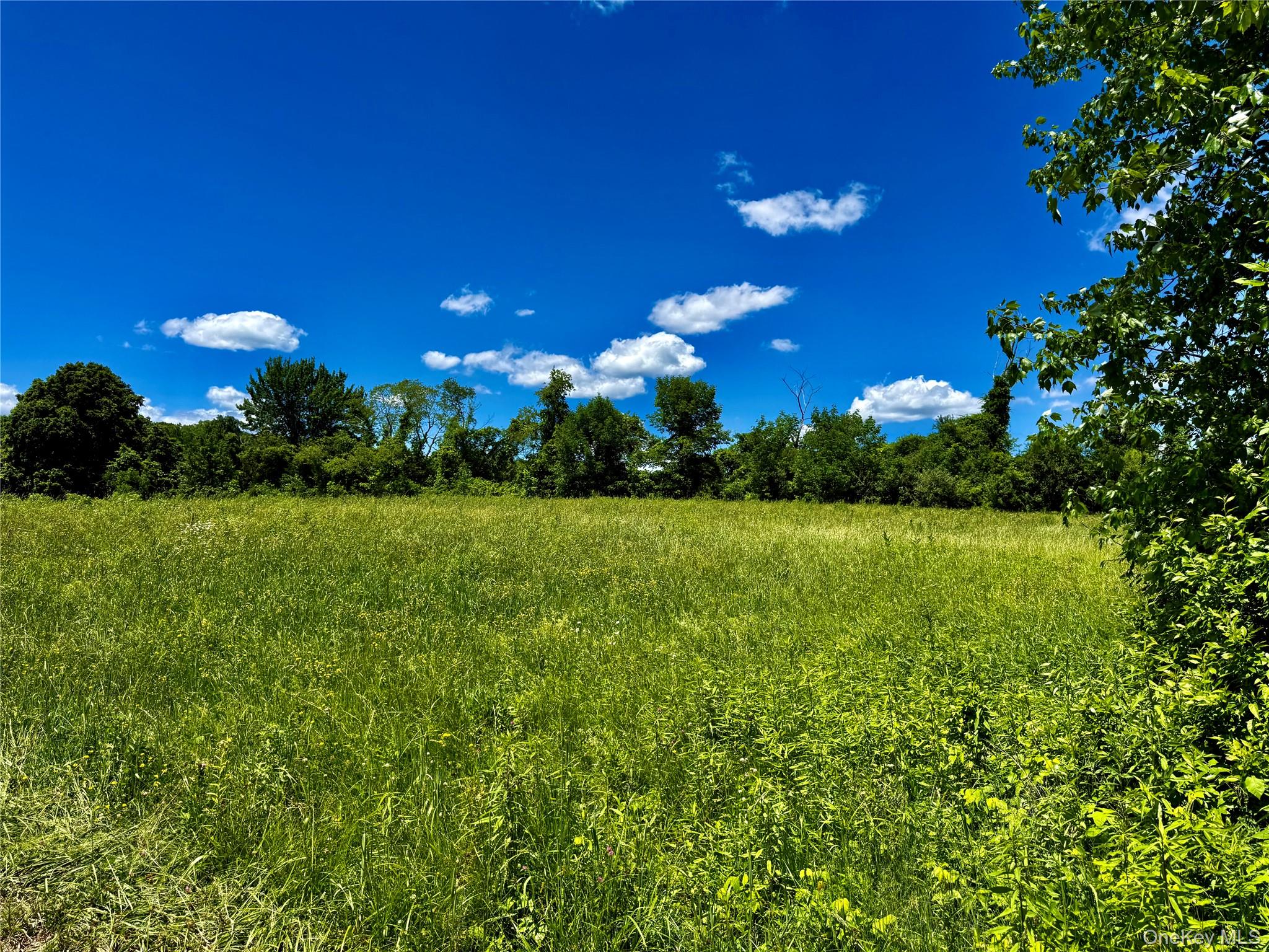 513 Rossway Road Pleasant Valley, NY 12569 - Photo 14 of 17 Field Number 5#
