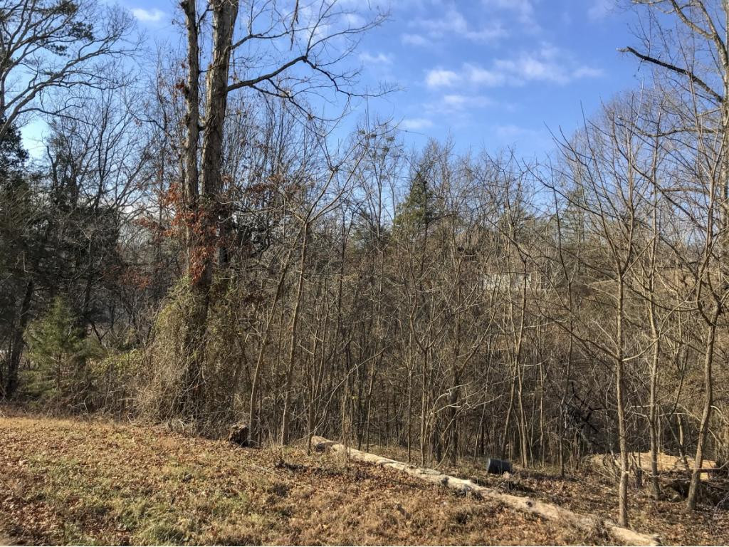 2273 Boat Dock Road, Unit 7 Talbott, TN 37877 - Photo 5 of 9 Photo 5