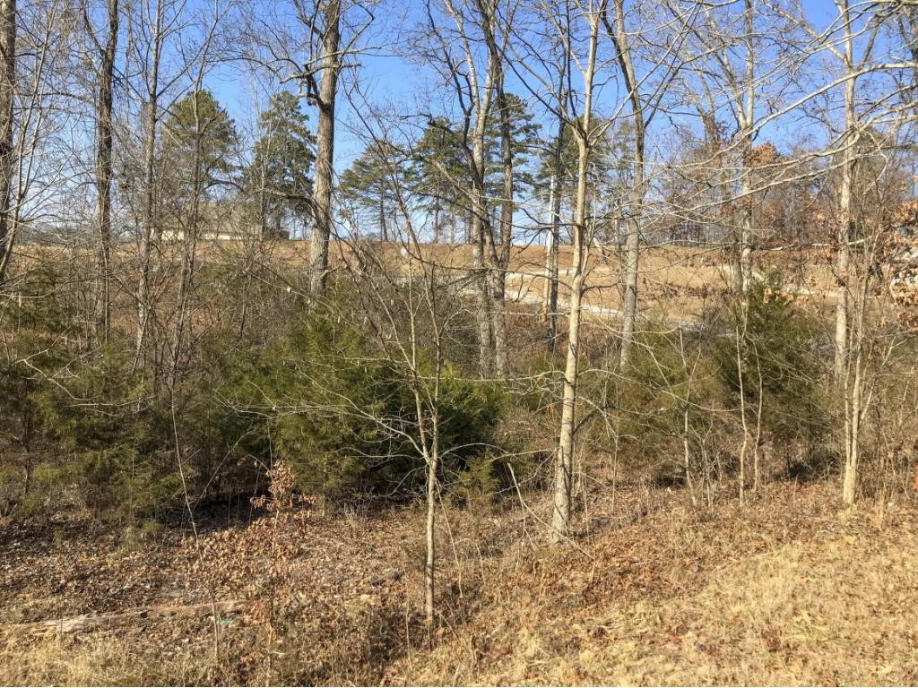2273 Boat Dock Road, Unit 7 Talbott, TN 37877 - Photo 6 of 9 Photo 6