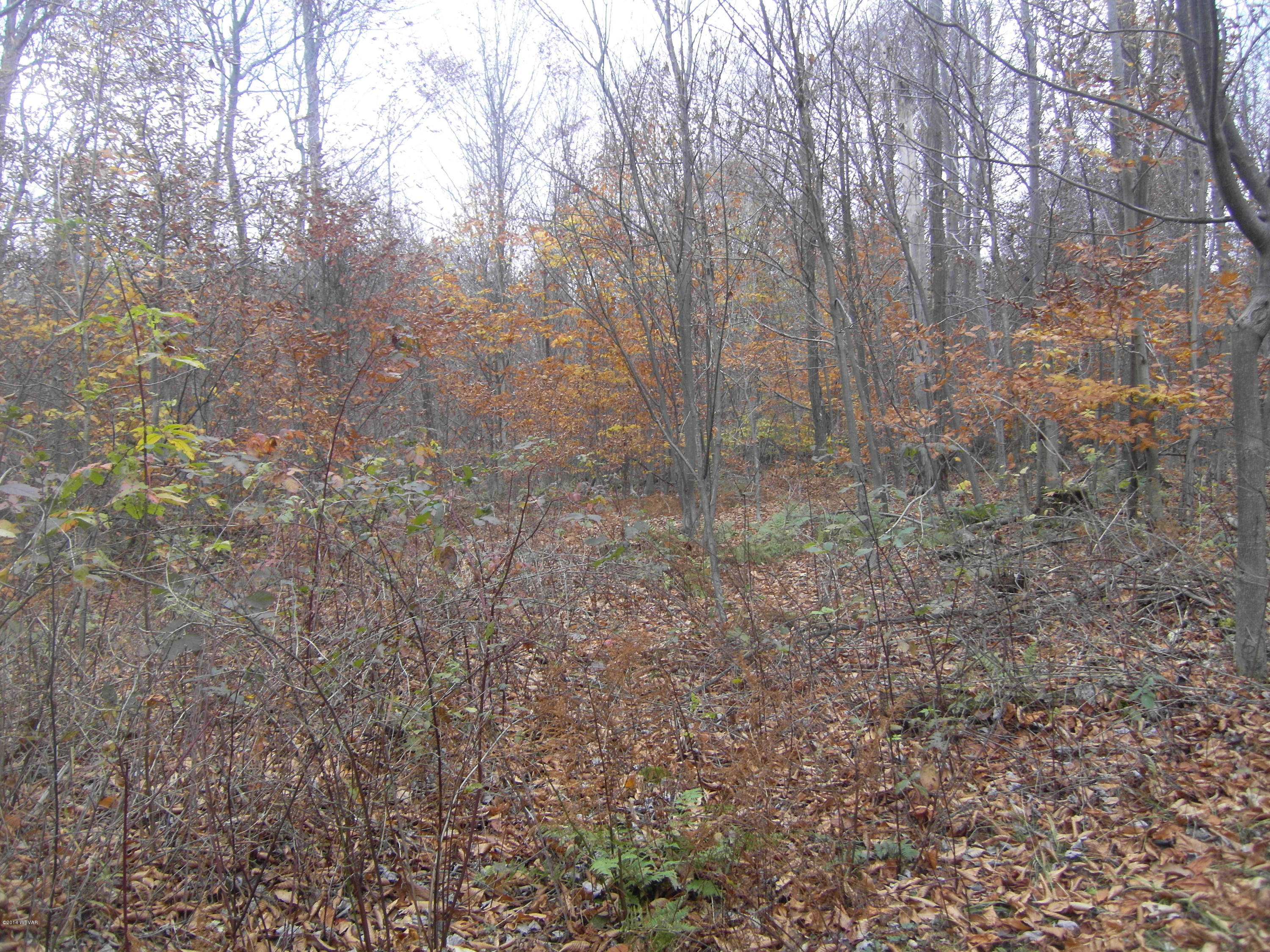 0 Telich Road Dushore, PA 18614 - Photo 1 of 6 10 26 14 001