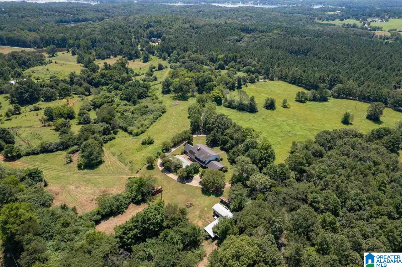 5705 Mays Bend Road Pell City, AL 35128 - Photo 48 of 50